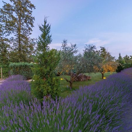 Villa Kate Istria Žminj Kültér fotó