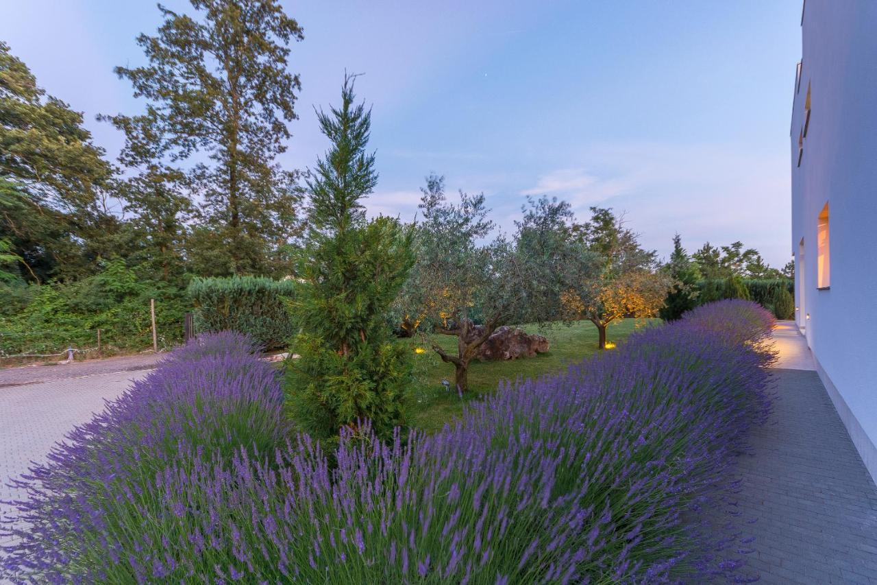 Villa Kate Istria Žminj Kültér fotó